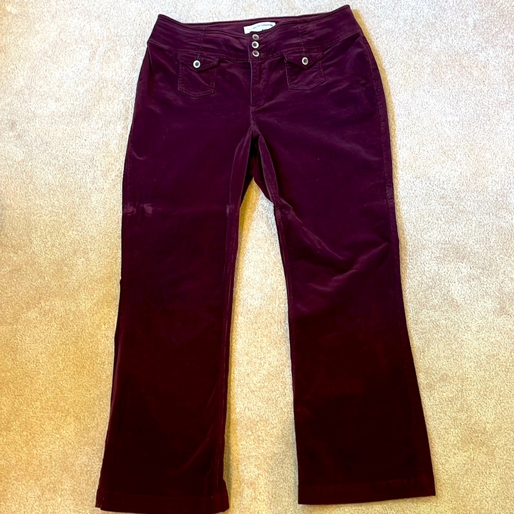 Anthropology, Pilcrow, eggplant, corduroy, flared pants, size 16 wide